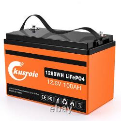 12V 300Ah 100Ah LiFePO4 Lithium Iron Battery BMS IP65 Solar RV Home Off-Grid Lot