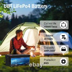 12V 300Ah Deep Cycle LiFePO4 Lithium Battery for RV Solar Boat Off-Grid