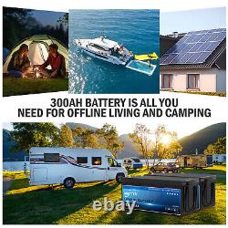 12V 300Ah Deep Cycle LiFePO4 Lithium Battery for RV Solar Boat Off-Grid