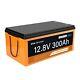 12v 300ah Lifepo4 Lithium Iron Deep Cycle Rechargeable Battery Lowtemp Bluetooth