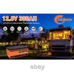 12V 300Ah Smart LiFePO4 Lithium Iron Battery Phosphate 200A BMS for RV Off-Grid