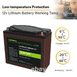 12V 30AH LiFePO4 Lithium Iron Phosphate Deep Cycle Battery 24V 36V replacement