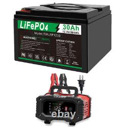 12V 30Ah LiFePO4 Lithium Battery BMS Deep Cycle 20A 24V Smart Battery Charger