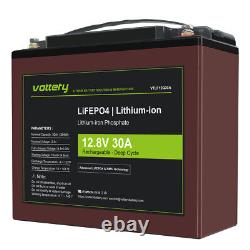 12V 30Ah LiFePO4 Lithium Iron Phosphate Battery BMS Marine Lawn Mower Scooter RV