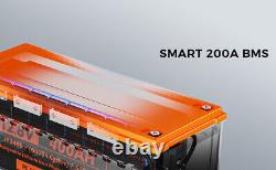 12V 400Ah LiFePO4 6000+ Cycle Lithium Battery for RV Solar Marine Golf Cart Car