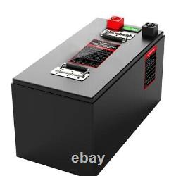 12V 400Ah LiFePO4 Lithium Iron Phosphate Built-In BMS Rechargeable Battery Pack