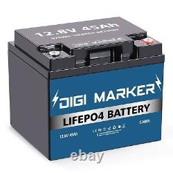 12V 45Ah LiFePO4 Deep Cycle Lithium iron Battery Rechargeable 50A BMS Solar