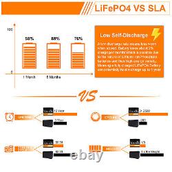 12V 50AH LiFePO4 Lithium Iron Battery for RV Solar Trolling Motor with 20A BMS