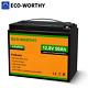 12v 50ah Lithium Battery Lifepo4 Rechargeable 3000+ Deep Cycle Bms Solar Rv