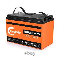 12V 50Ah Lithium LiFePO4 Battery Deep Cycles for RV, Solar, Marine, Off-Grid