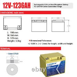 12V BT Lithium Iron Phosphate Battery LIFEPO4 BMS Low Temp RV BOAT OFFGRID CART