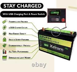 12Volt 100Ah Lithium Iron Battery LiFePO4 Deep Cycle Solar Charger LCD Camping