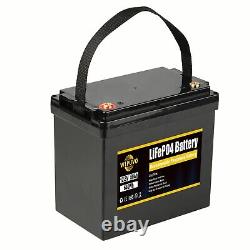 12.8V 100Ah LiFePo4 Battery Lithium Iron Phosphate Battery BMS for Solar Boat US