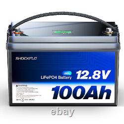 12v 100Ah LiFePO4 Lithium Iron Phosphate Battery Deep Cycle for RV 15000+ Cycles