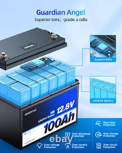 12v 100Ah LiFePO4 Lithium Iron Phosphate Battery Deep Cycle for RV 15000+ Cycles