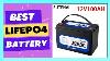 12v 100ah Lithium Iron Phosphate Battery Lifepo4 Built In Bms