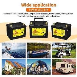 12v 60Ah LiFePO4 Battery Deep Cycle Lithium iron phosphate Rechargeable Batte