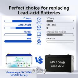 24V 100AH Mini Size LiFePO4 Lithium Iron Phosphate Fast Charging Battery with BMS