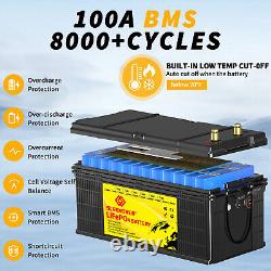 24V 100Ah LiFePO4 Lithium Battery 100A BMS Deep Cycles for Marine Home RV Motor