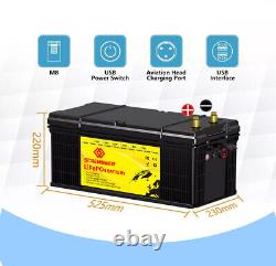 24V 100Ah LiFePO4 Lithium Battery 100A BMS Deep Cycles for Marine Home RV Motor