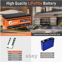 25.6V 100AH LiFePO4 Deep Cycle Lithium Phosphate Battery for RV Off-Grid BMS NEW