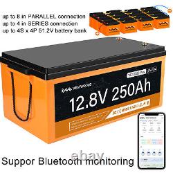 2PCS 12V 250Ah Lithium Battery 100A BMS LiFePO4 Bluetooth for Solar Marine RV