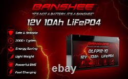 2 Pack 12V 10Ah LiFePO4 Lithium Iron Phosphate Deep Cycle Rechargeable Battery