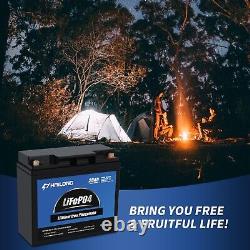 2 Pack 12V 20AH LiFePO4 Deep Cycle Lithium Iron Phosphate Battery for RV