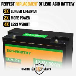 30Ah 12V Lithium Battery LiFePO4 3000+ Cycel Storage Battery for Boat Camper