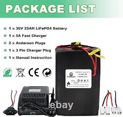 36V Ebike Battery 25Ah Lithium LiFePO4 Battery for Scooter Electric Bike 30A BMS