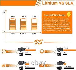 48V 100AH RS485 COM LiFePo4 Battery Pack Lithium Iron Phosphate Batteries BMS