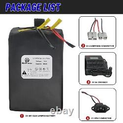 48V 30Ah LiFepo4 Lithium Battery Pack for 1500W Electric Bike Scooter 40A BMS