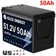 48v 50ah Lifepo4 Lithium Battery With Bms Rv Golfcart