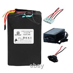 48V Ebike Battery 25AH Lithium Lifepo4 Battery for ebike Bicycle Charger 50A BMS