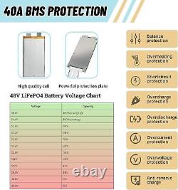 48V Lifepo4 20Ah 30Ah 35Ah Lithium Battery for EBike Scooter 2000W with Charger