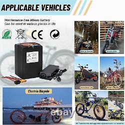 48V Lifepo4 20Ah 30Ah 35Ah Lithium Battery for EBike Scooter 2000W with Charger