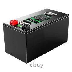 60V 300Ah LiFePO4 Lithium Iron Phosphate Built-In BMS Rechargeable Battery Pack