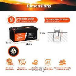 Ampere Time 12V 200AH Plus LiFePO4 Lithium Battery 200A BMS for RV Solar Marine