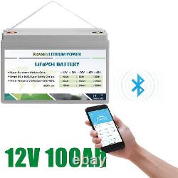 Bluetooth 12V 100Ah LiFePO4 Battery A Grade Lithium Iron Phosphate Battery