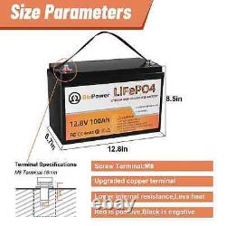 BtrPower 12V 100Ah Lithium lifepo4 Battery For RV Marine Solar System Deep Cycle