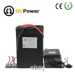 BtrPower 48v 20Ah Lithium Lifepo4 Battery Pack for Ebike 1200W Motor 30A BMS
