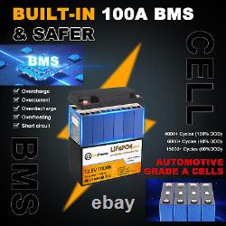 Btrpower 12V 100Ah Battery Pack LiFePO4 for RV Marine Solar System with 100A BMS
