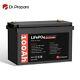 Dr. Prepare 12v Volts 100ah Lifepo4 Lithium Iron Phosphate Battery With Bms