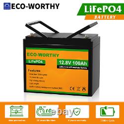 ECO-WORTHY 12V 100AH LiFePO4 Lithium Battery BMS 4000+ cycles For RV Solar Panel