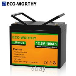 ECO-WORTHY 12V 100AH LiFePO4 Lithium Battery BMS 4000+ cycles For RV Solar Panel