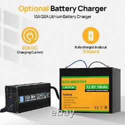 ECO-WORTHY 12V 100AH LiFePO4 Lithium Battery BMS 4000+ cycles For RV Solar Panel