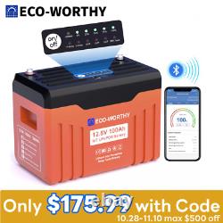 ECO-WORTHY 12V 100AH LiFePO4 Lithium Battery Newsletter RV Solar Panel