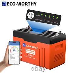 ECO-WORTHY 12V 100AH LiFePO4 Lithium Battery Newsletter RV Solar Panel