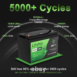 ERYY 12V 160Ah LiFePO4 Deep Cycle Lithium Battery for RV Solar Trolling Motor US