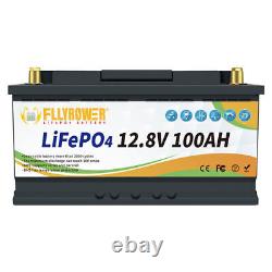 FLYPOWER LiFePO4 12V 100Ah Lithium Battery BMS Backup Solar Energy RV Bass Boats